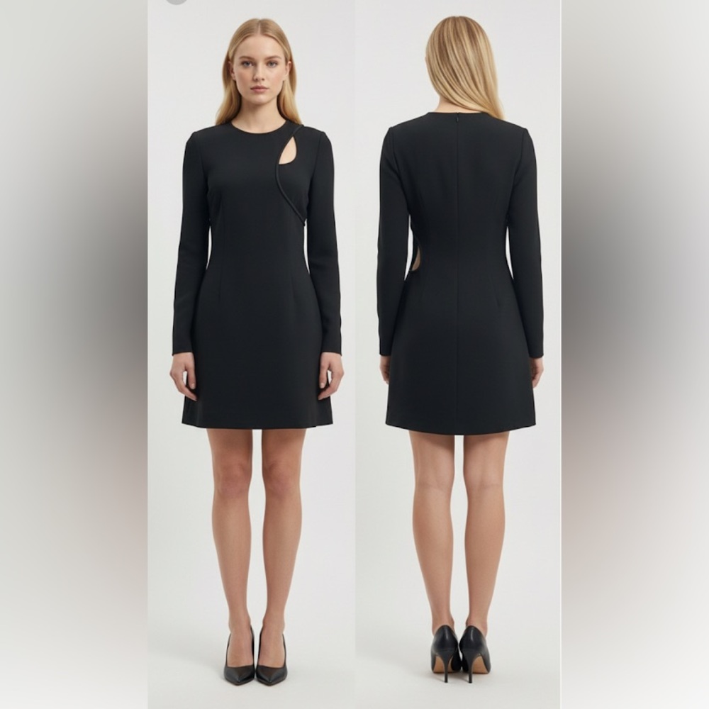 JONATHAN SIMKHAI Black dress with Cutouts